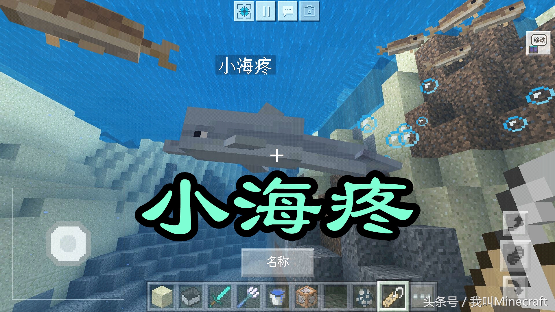 我的世界海洋版：海豚不给骑怎么办？这2种骑乘方法，你选哪个？