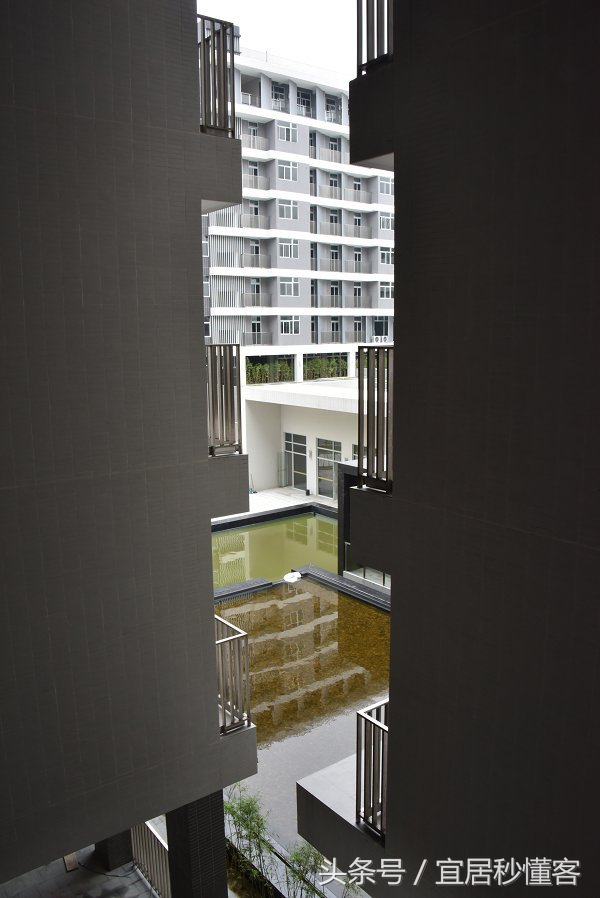 国内颜值最高的大学宿舍，从海景房到民族风还有北欧范儿都有了