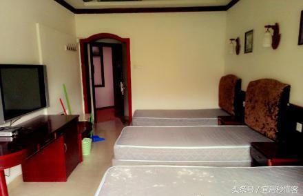 国内颜值最高的大学宿舍，从海景房到民族风还有北欧范儿都有了