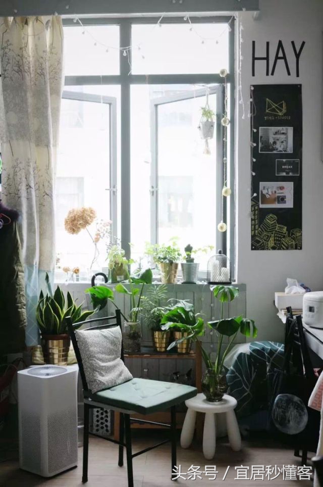 国内颜值最高的大学宿舍，从海景房到民族风还有北欧范儿都有了