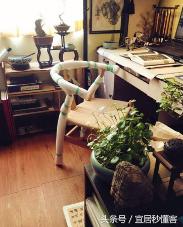 国内颜值最高的大学宿舍，从海景房到民族风还有北欧范儿都有了