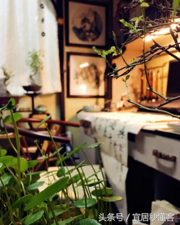 国内颜值最高的大学宿舍，从海景房到民族风还有北欧范儿都有了