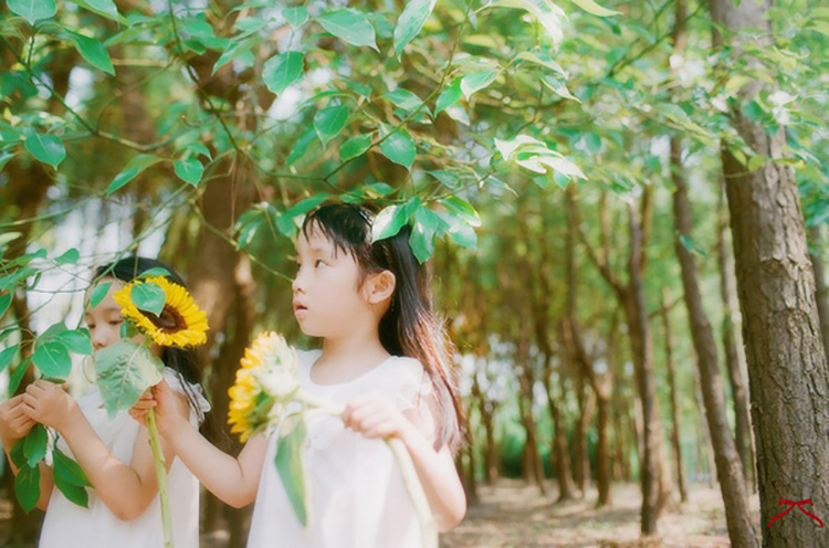 胶片和数码有什么区别（浅谈胶片和数码带来的不同感受）