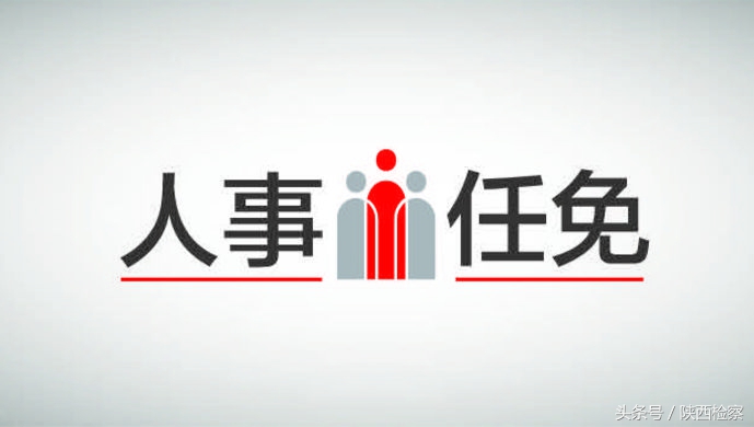 商洛市人民政府任免一批领导干部