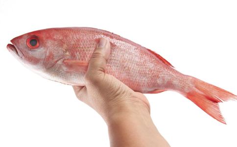 适合孕妇吃的鱼胶炖汤推荐 鱼胶怎么炖适合孕妇吃