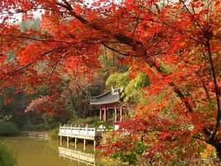 金陵国祚，刘禹锡的石头城