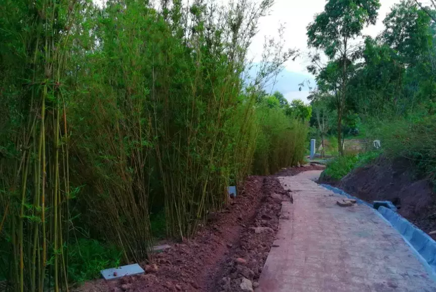 宜宾大学城三所新大学即将开学，厉害了，临港！