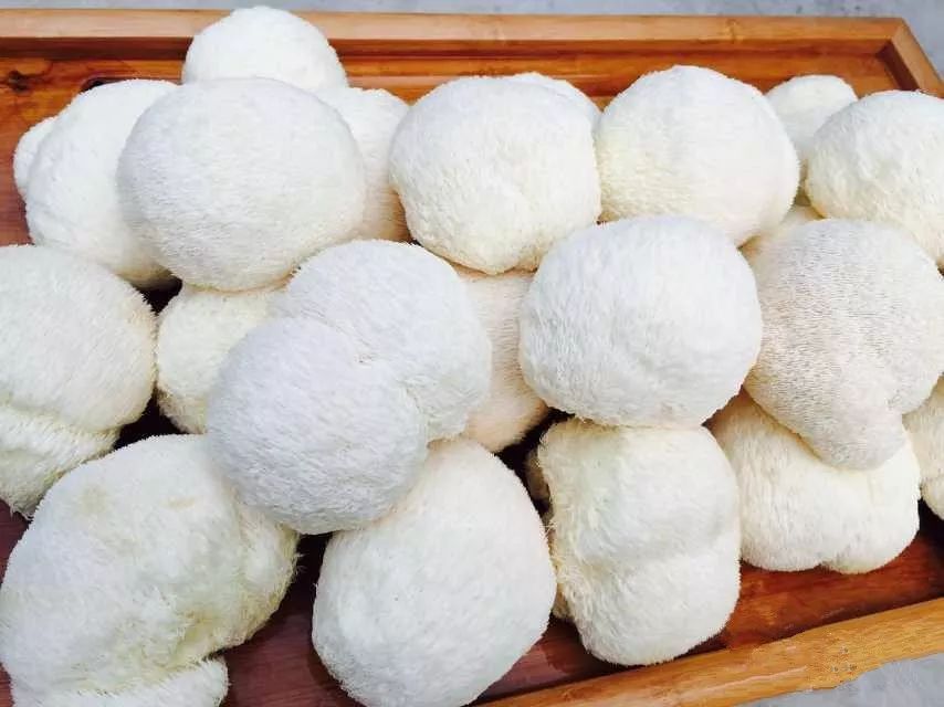 教你一个新鲜猴头菇的做法,五星级酒店大厨研究出来的!