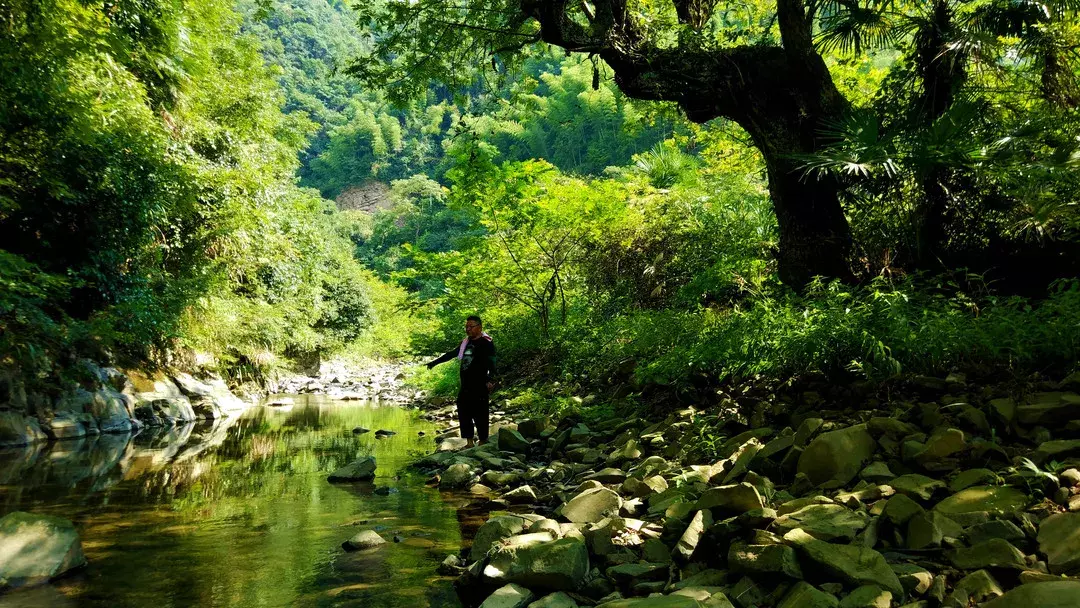 崇阳有个世外桃源……清水岩