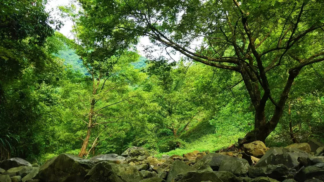 崇阳有个世外桃源……清水岩