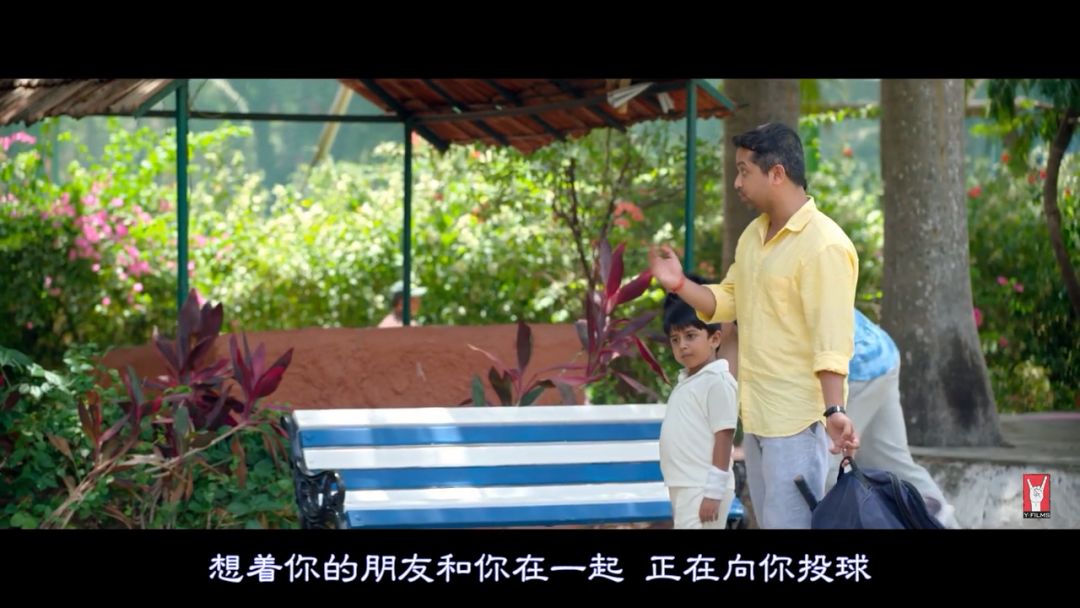 打板球是什么意思（這就是我們最缺的「性教育片」，趕緊吃下這顆安利）