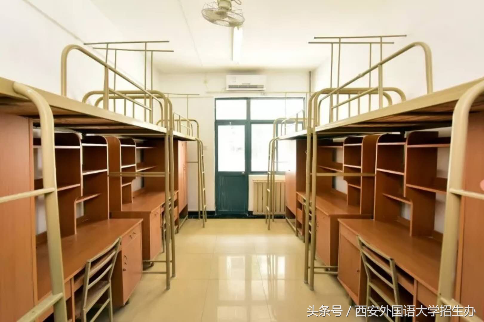 阳谷外国语学校 宿舍图片