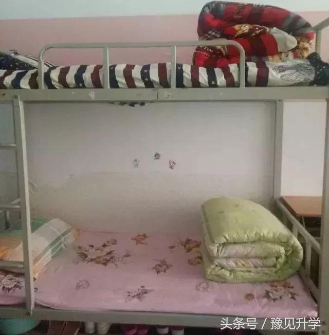 这么美的学校，必须介绍一下！郑州名校介绍系列：星源外国语学校