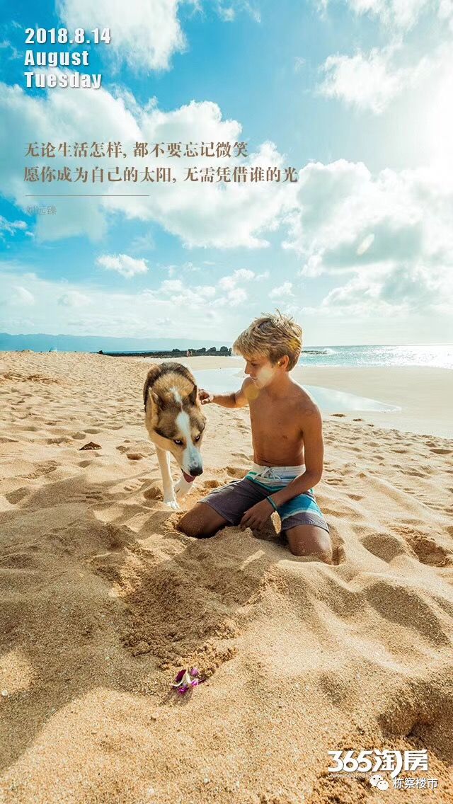 浑南楼市再次“爆量” 包揽单盘前三名 栋察楼市早报（8.14）