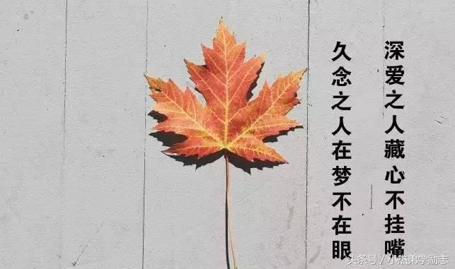 情感励志句子：正能量简短窝心的句子，句句说到心坎上