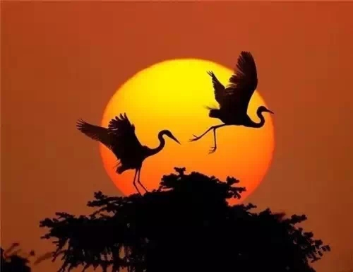 青山依旧在,几度夕阳红!(送给老年朋友)