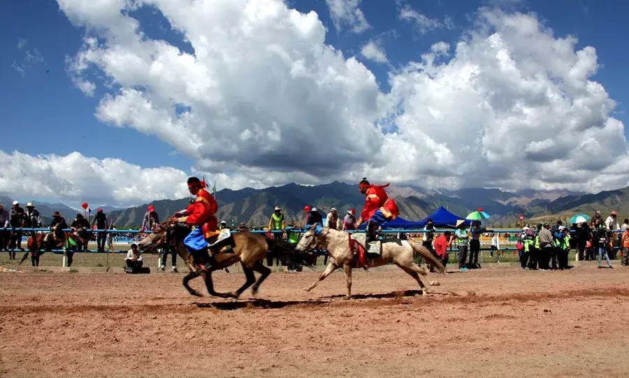 成都骑马场价格表(去草原星空露营) - 价格百科