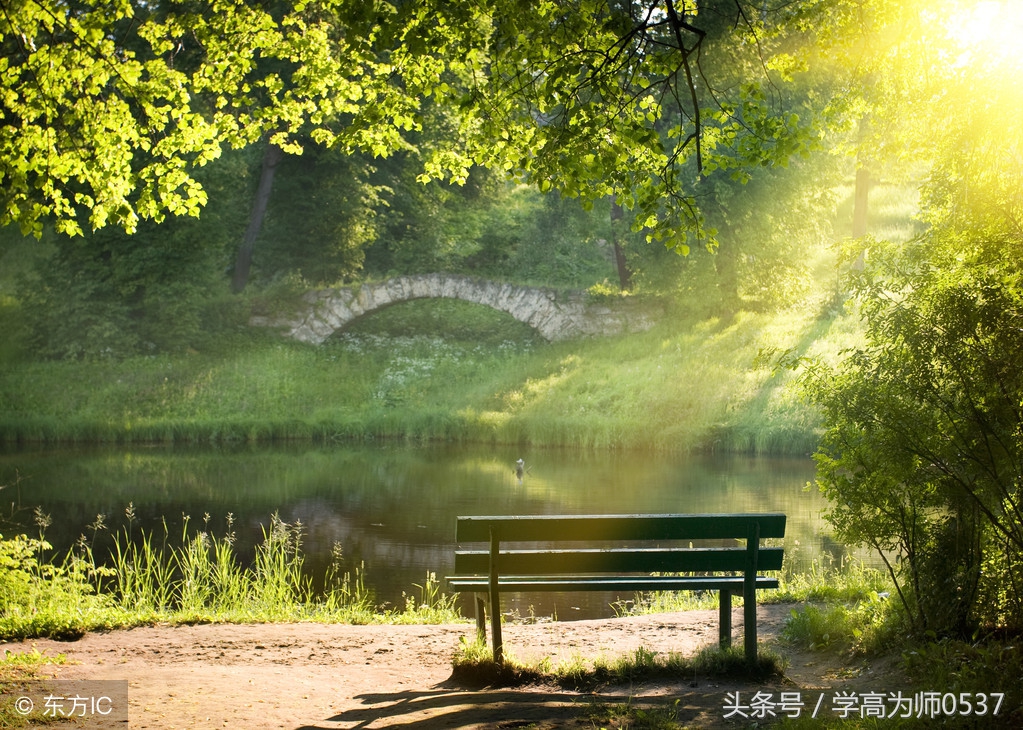 作文范文：写景（春、夏、秋、冬）让四季美景留在我们身边