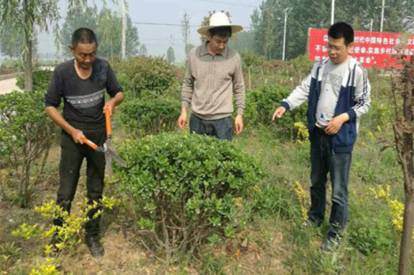 杨健：沉下身子 带着真情为民脱贫