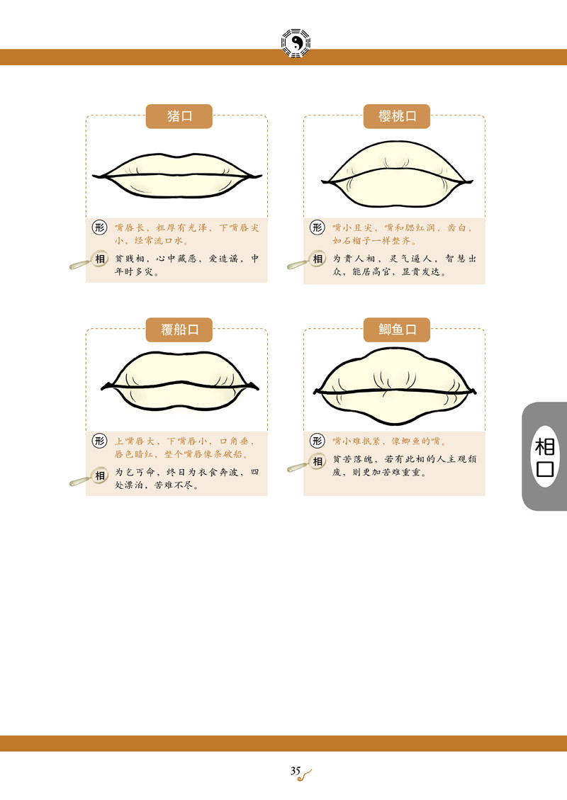 《手相与面相速查》——喜欢请收藏