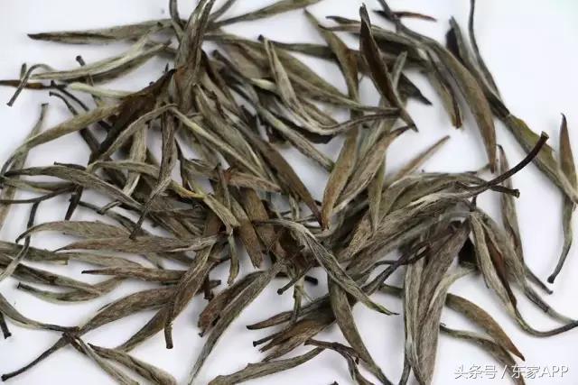 白茶优劣区(qu)分（白茶品相好坏口感有差(cha)距吗）-大连信息网