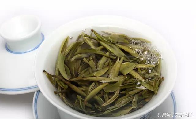 白茶优劣区分（白茶品相好坏口感有差距(ju)吗）-大连信息网(wang)