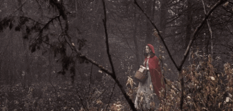 考证暗黑童话背后的真实事件，我被这部猎奇纪录片勾走了魂