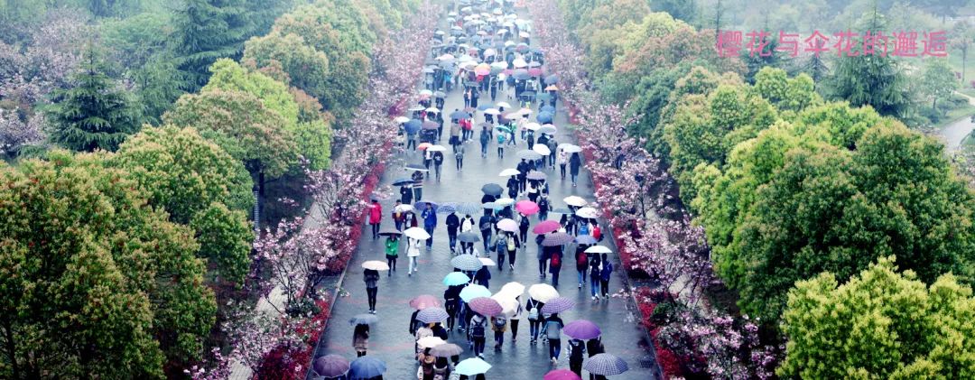 财务处致全体同学的一封信