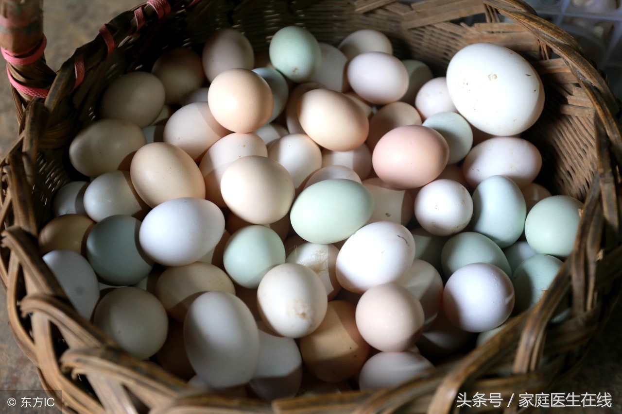 鸡蛋和鸭蛋的区别（详解鸡蛋和鸭蛋的差异与营养价值）