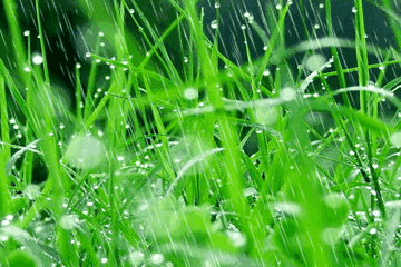 老祖宗总结的农谚，真是无价之宝！预测神准，越看越有道理！