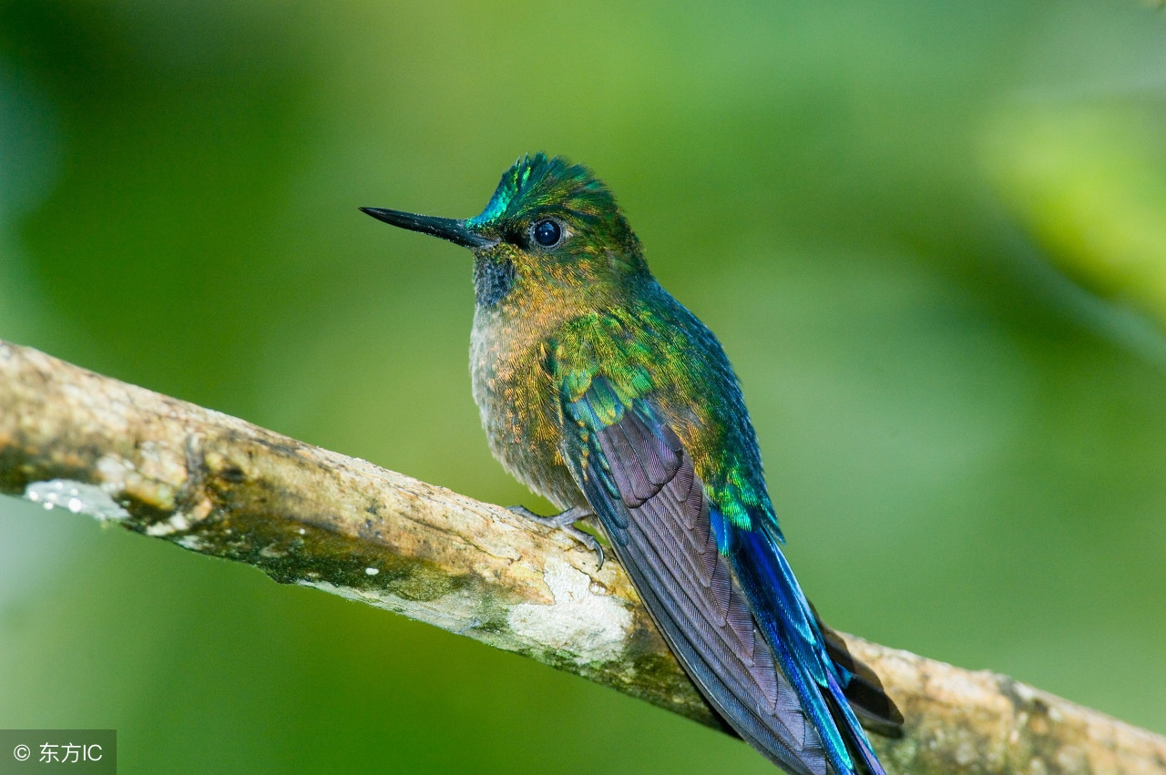 老祖宗总结的农谚，真是无价之宝！预测神准，越看越有道理！