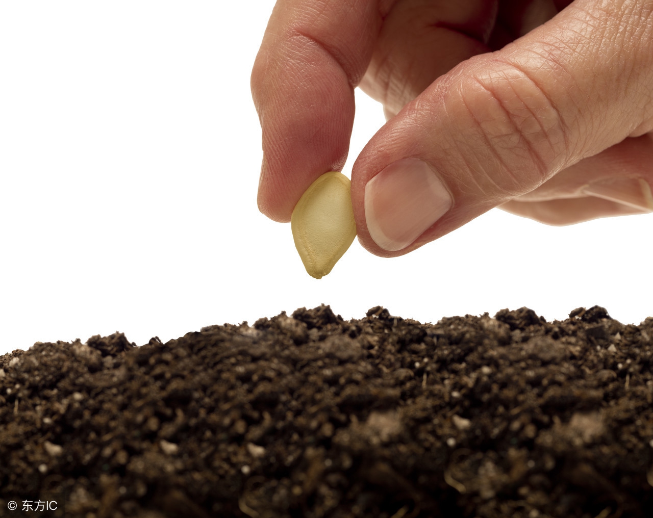 老祖宗总结的农谚，真是无价之宝！预测神准，越看越有道理！