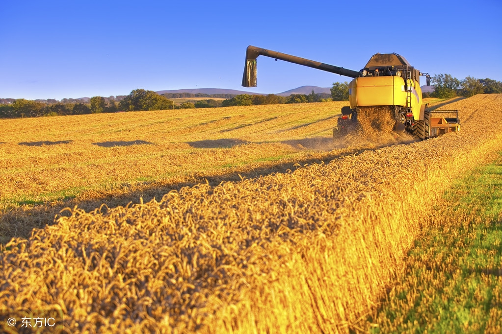 老祖宗总结的农谚，真是无价之宝！预测神准，越看越有道理！