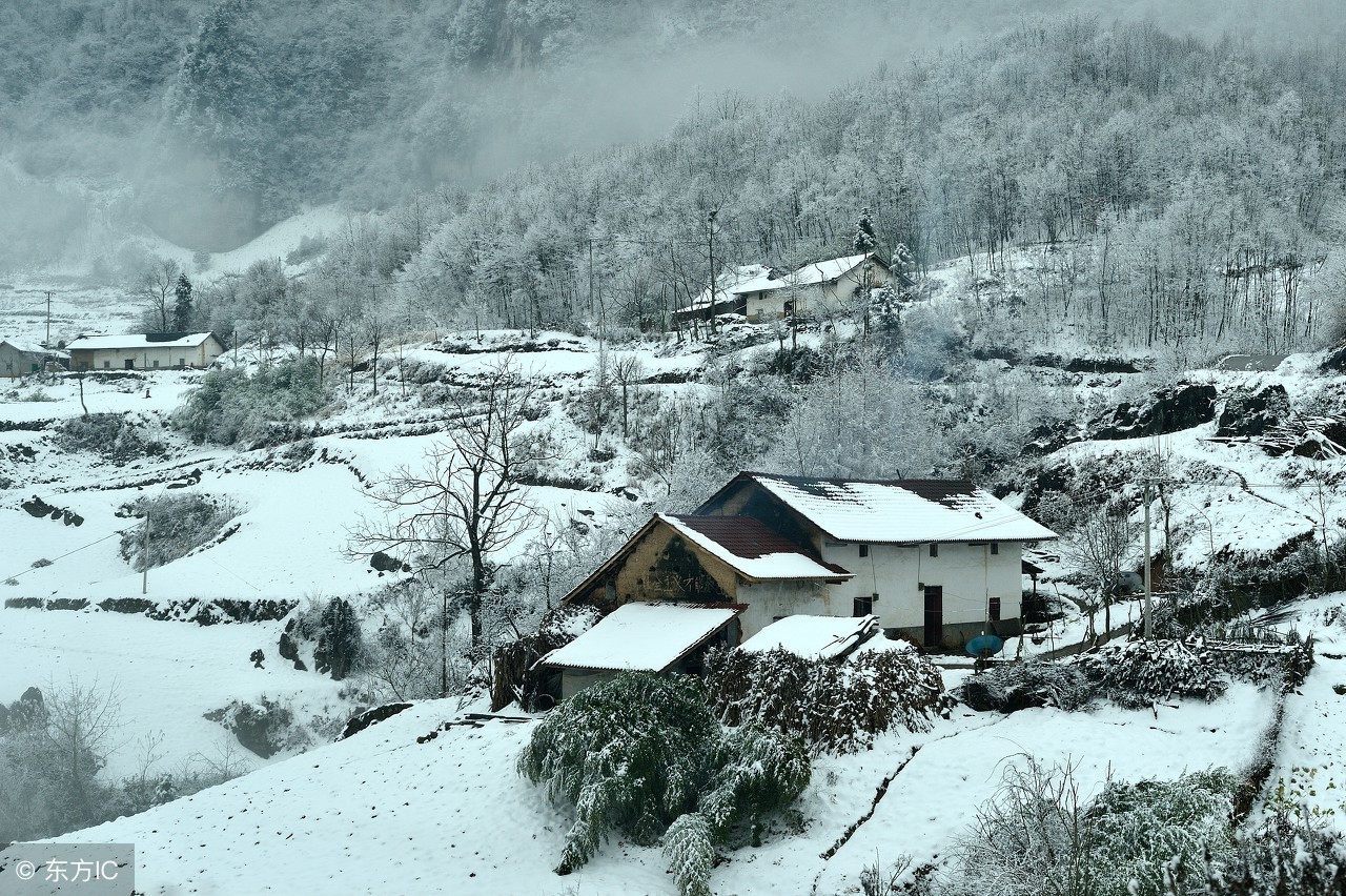 老祖宗总结的农谚，真是无价之宝！预测神准，越看越有道理！