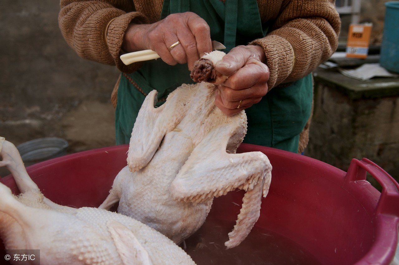 中元节广西男人都很会做鸭，一个节日广西将吃掉上百万只鸭子