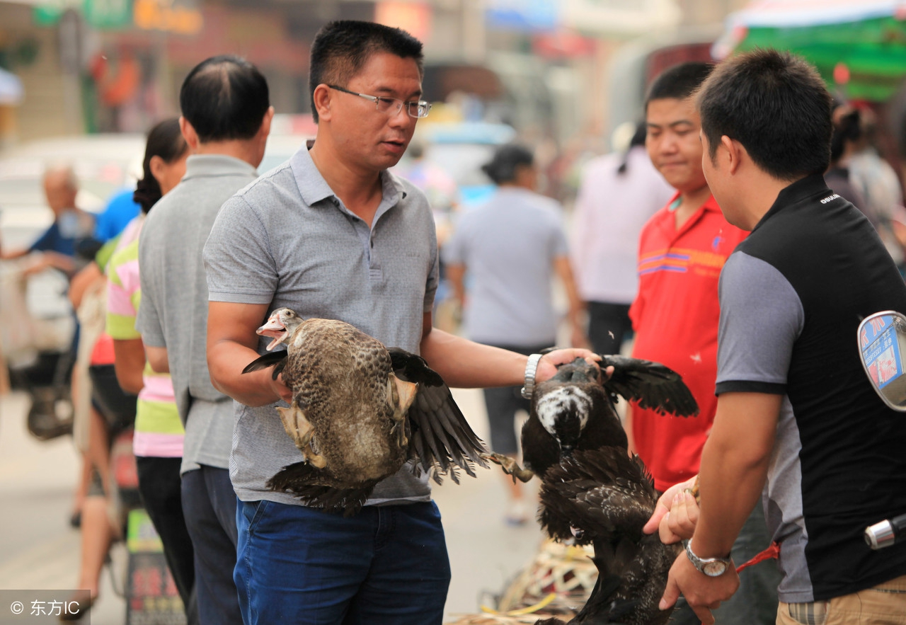 中元节广西男人都很会做鸭，一个节日广西将吃掉上百万只鸭子