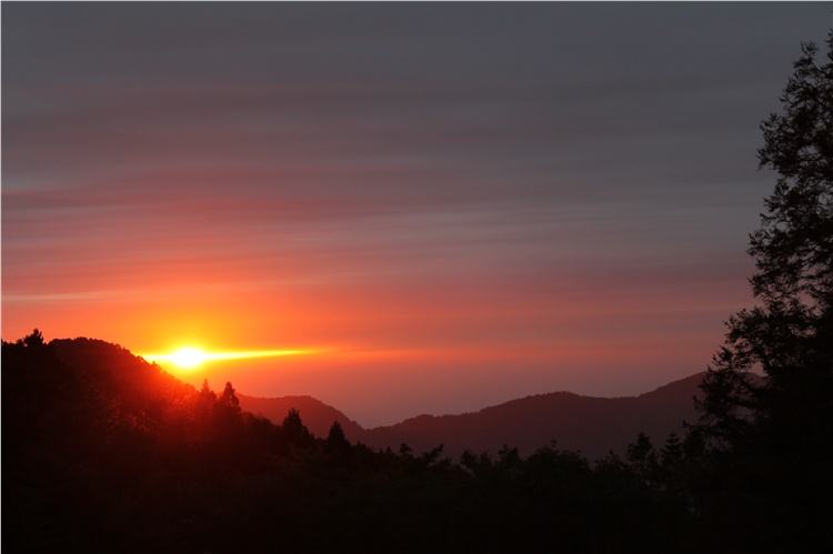 向晚意不适，驱车登古原 夕阳无限好，只是近黄昏