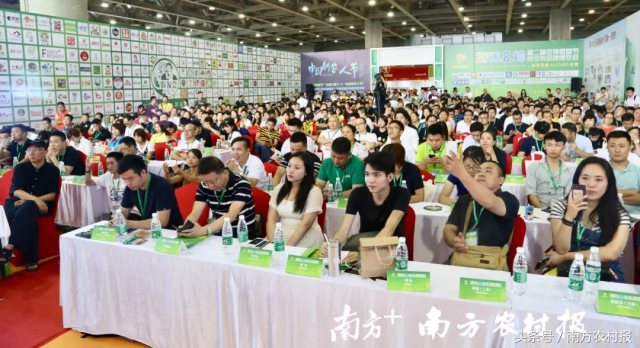 第二届农特微商节隆重举办！5000名新农人相会广州，规模空前