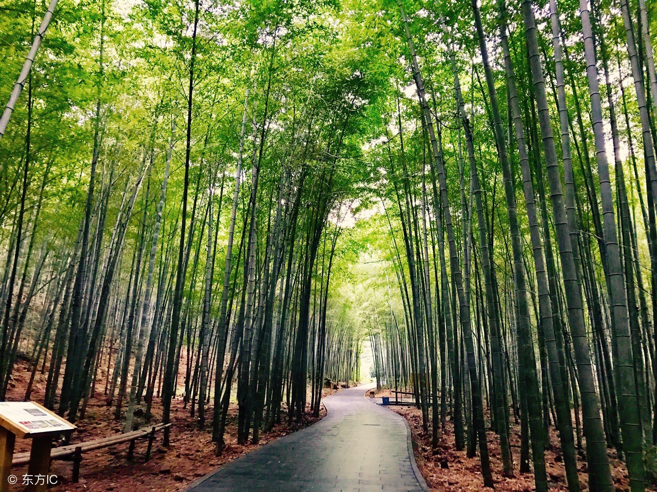 曲径通幽处，禅房花木深