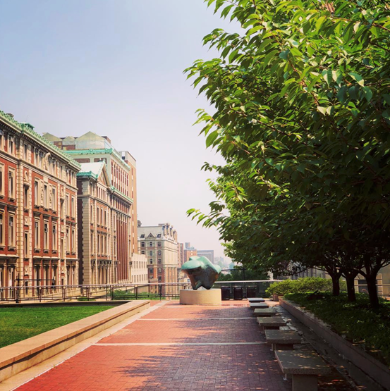 Pick你心中的C位法学院（美国高校篇）