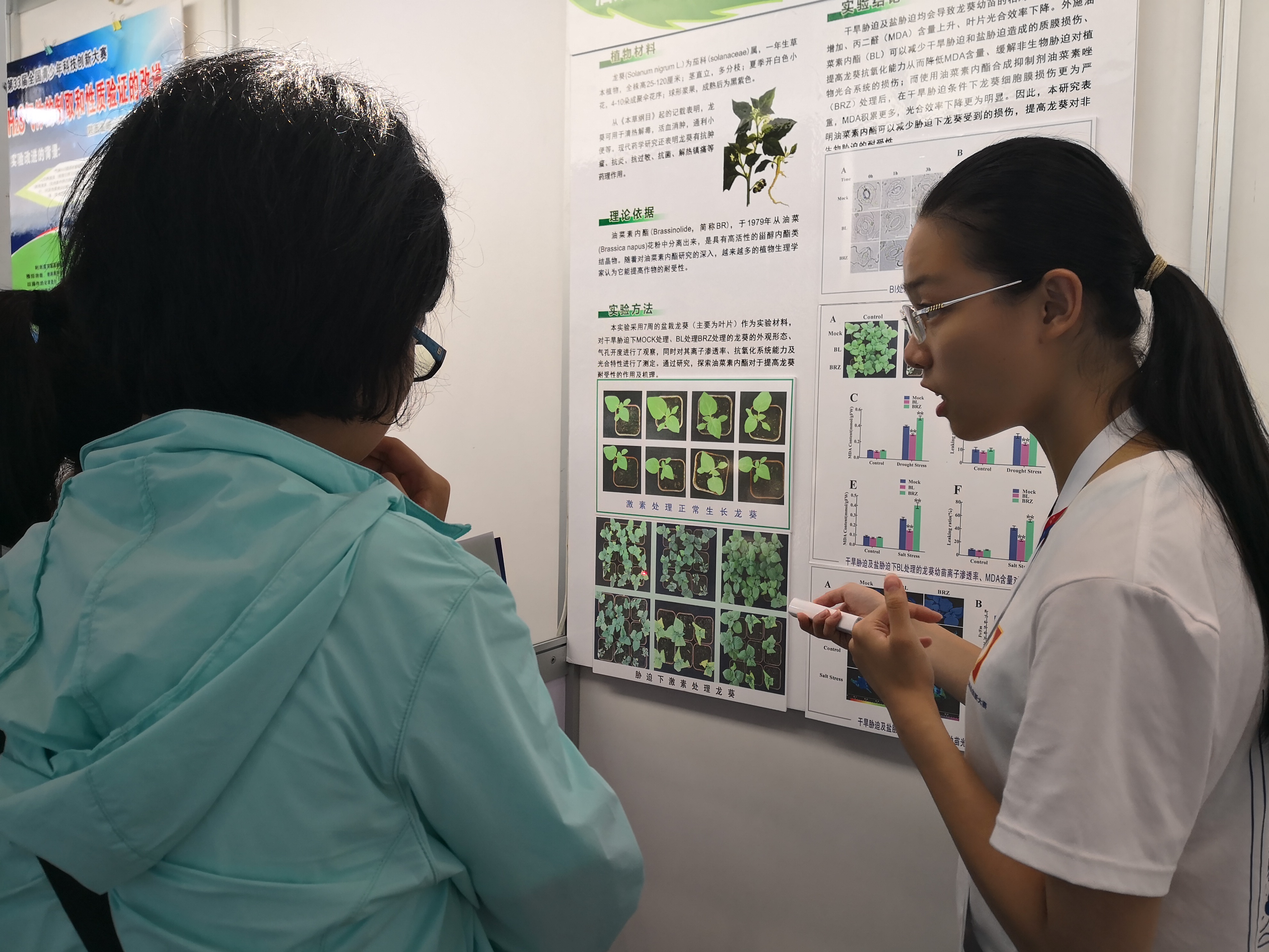 喜报！四名华中学子获第33届全国青少年科技创新大赛一等奖！