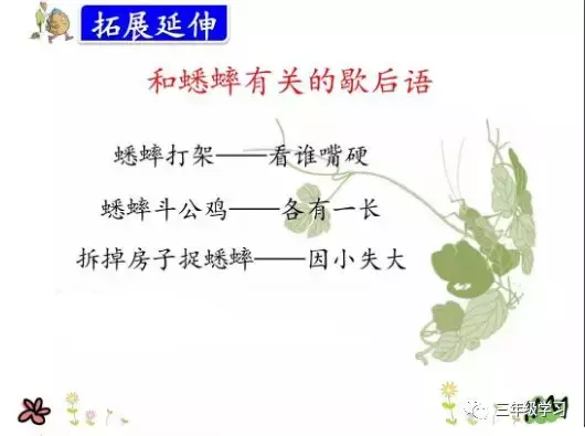 三年级上册语文第10课《在牛肚子里旅行》课件+同步练习