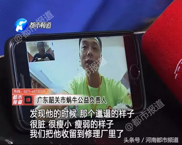 看了场马戏,南阳小伙在外流浪十年!终于,他找到了家人,能回家吗?