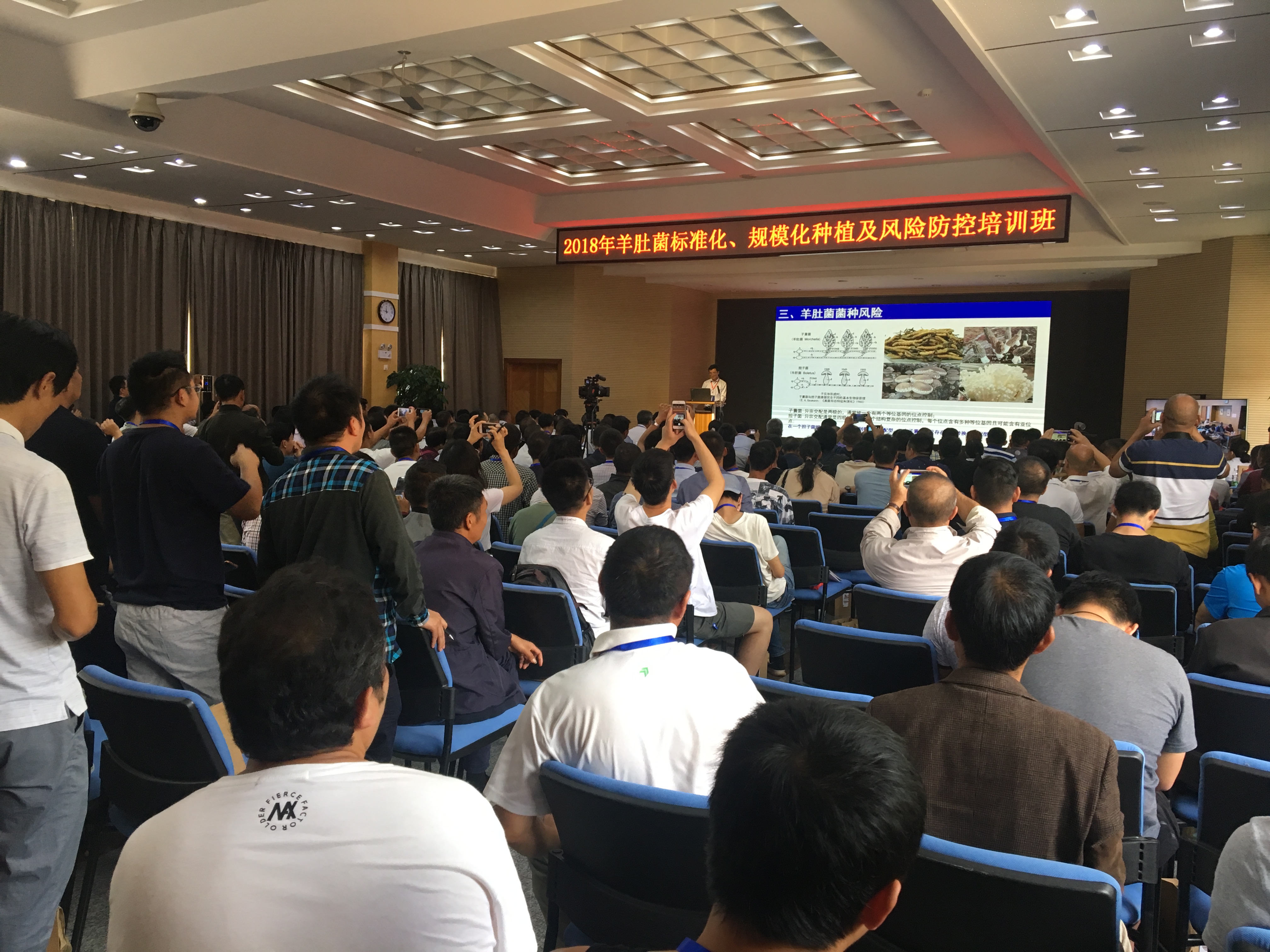 一个羊肚菌培训班为何引来全国各地350人参加？