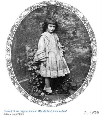 数学家写的《爱丽丝漫游奇境记》中的数学