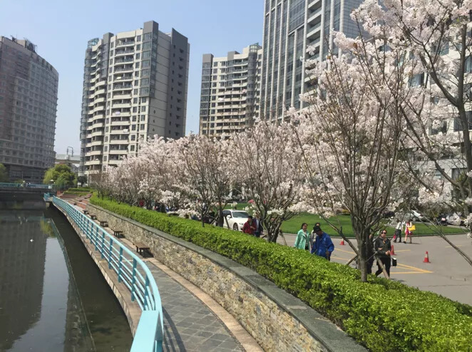 上海外国语大学贤达经济人文学院：双一流大学+资本的新尝试