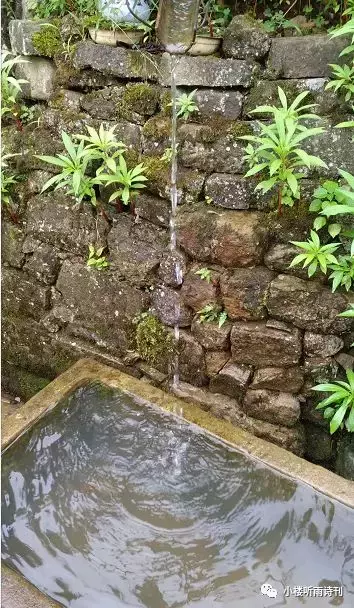 星 汉：从一首新作谈诗词创作的感受