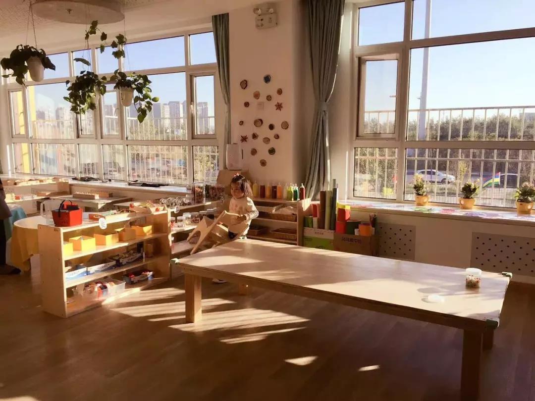 蒙氏、华德福、瑞吉欧、高宽，不同理念的幼儿园应该怎么选？