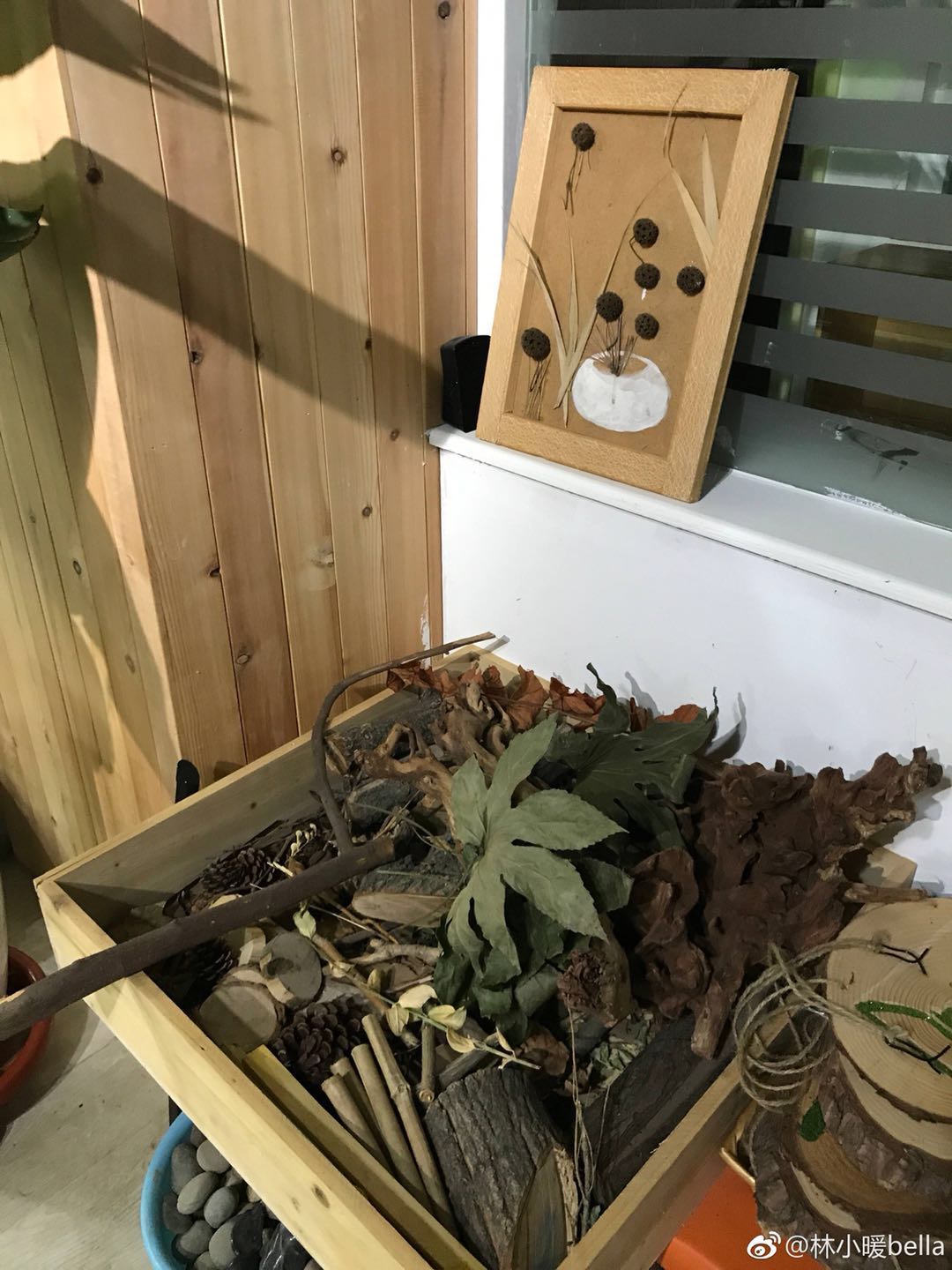 蒙氏、华德福、瑞吉欧、高宽，不同理念的幼儿园应该怎么选？