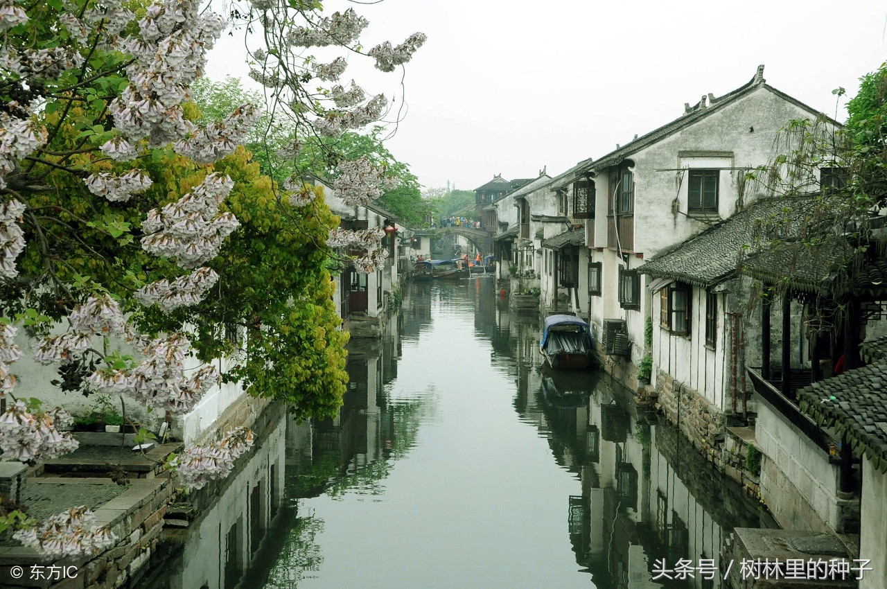 朱自清文章中优美的写景片段